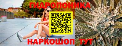 скорость Бийск