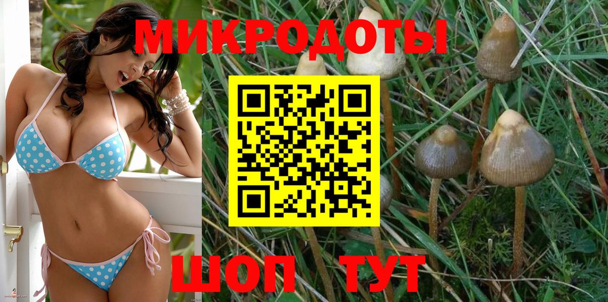Ишимбай  Псилоцибиновые грибы мицелий  купить закладку  Вход с VPN  Галлюциногенные грибы ЛСД 